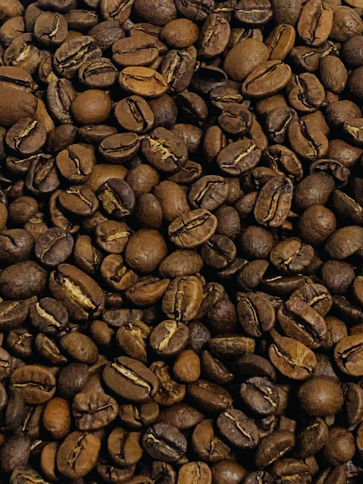 Holiday Hustle - Medium Roast